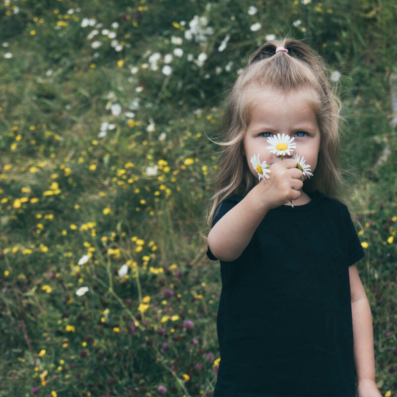 Little child girl in black tshirt holding few chamomile flowers and looking in camera outdoors
